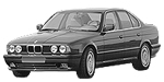 BMW E34 C20CF Fault Code