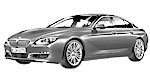 BMW F06 C20CF Fault Code